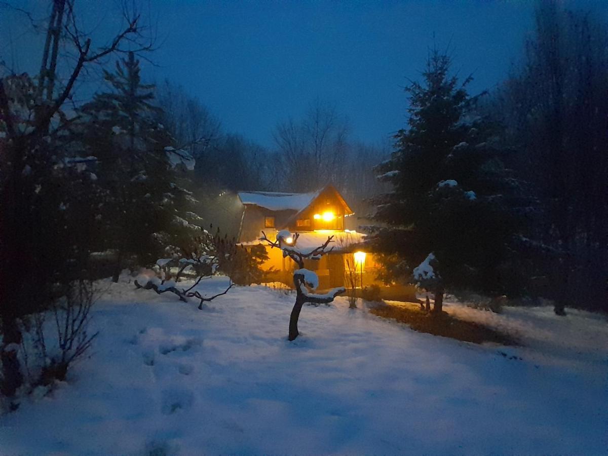 Cabana Din Padurea Valeni Vălenii de Munte Esterno foto