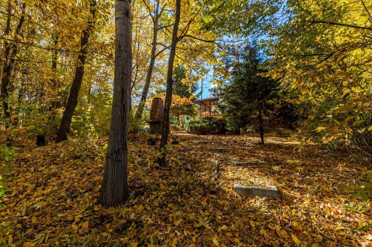 Cabana Din Padurea Valeni Vălenii de Munte Esterno foto