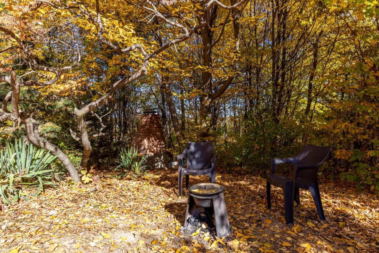Cabana Din Padurea Valeni Vălenii de Munte Esterno foto