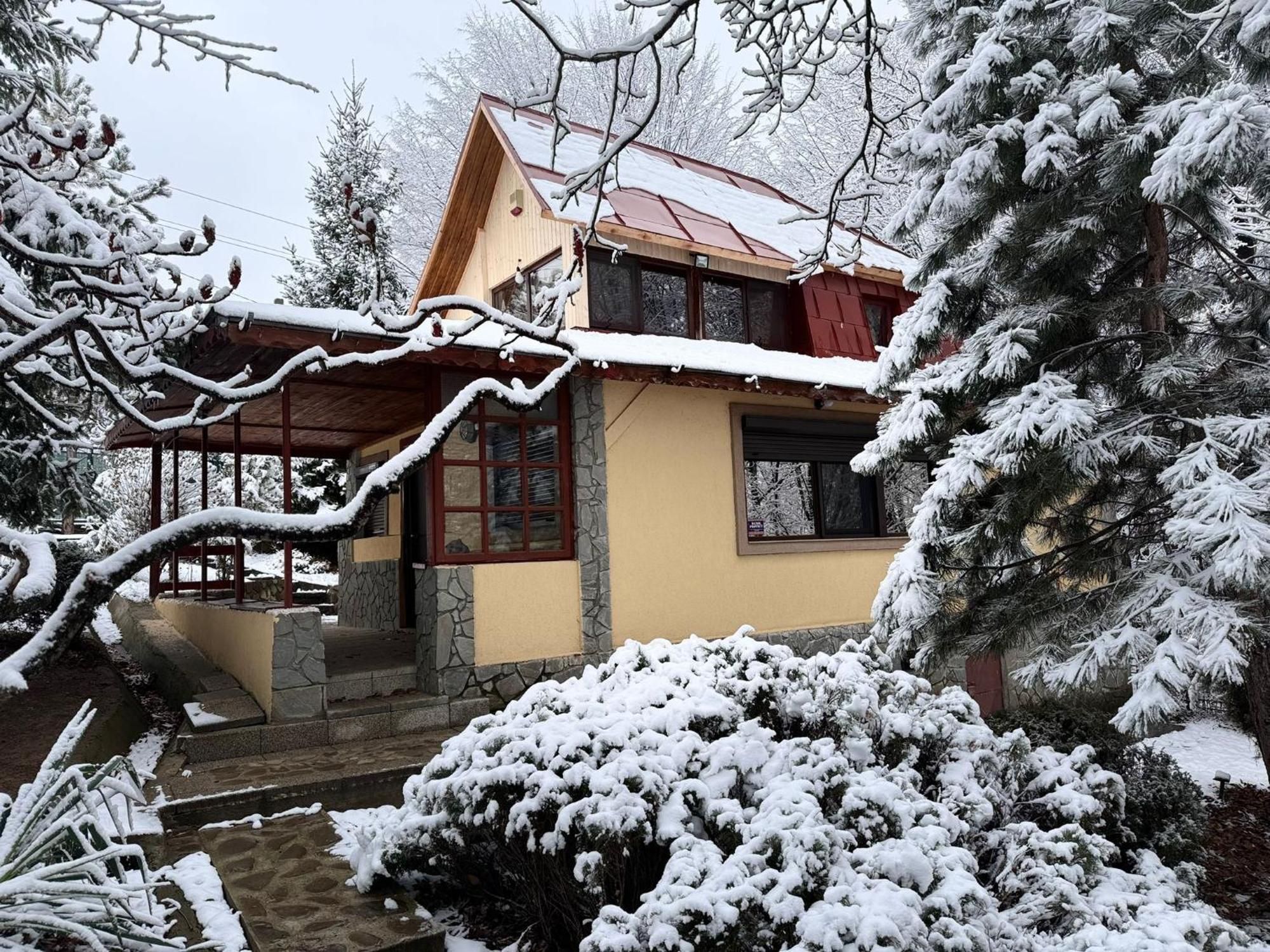 Cabana Din Padurea Valeni Vălenii de Munte Esterno foto