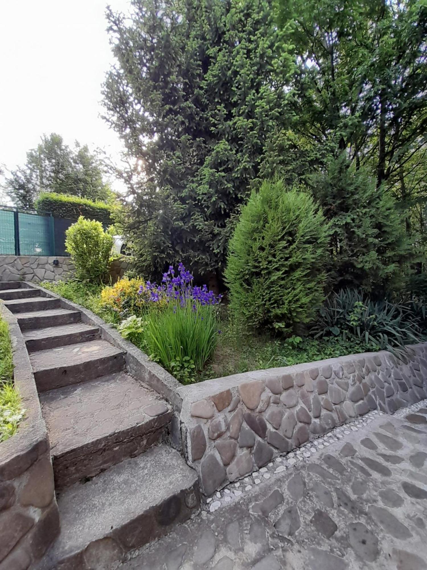 Cabana Din Padurea Valeni Vălenii de Munte Esterno foto